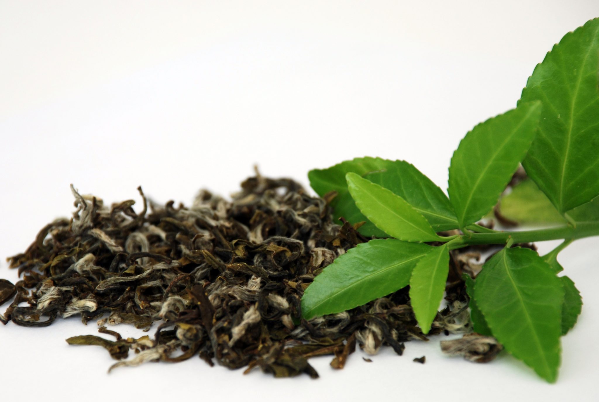 Trà xanh là gì? Phương pháp ủ trà và chiết xuất trà